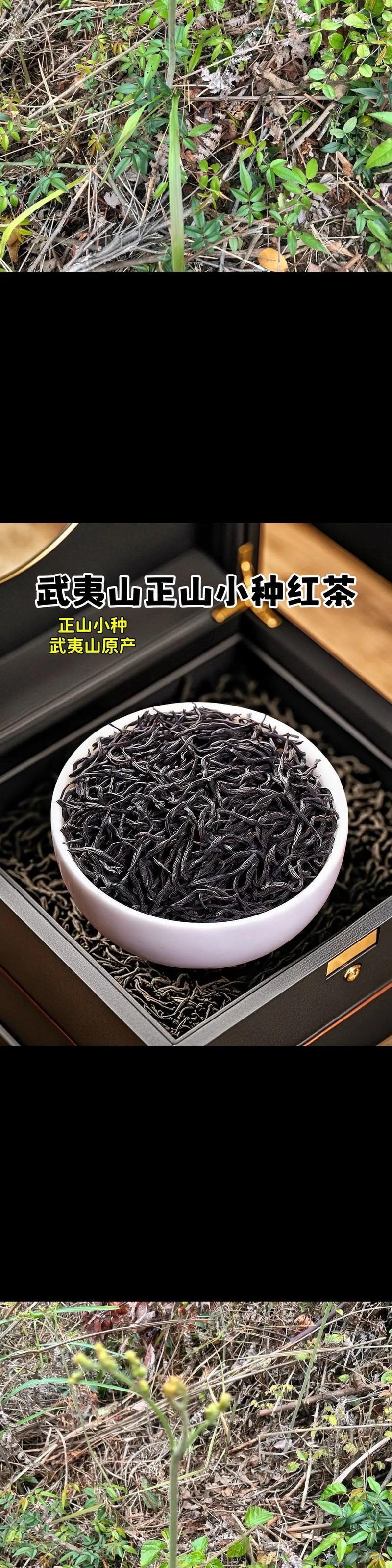 普洱茶选购秘籍：从初学者到资深玩家